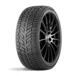 Doublestar Winterking DW08 225/55R17 97T